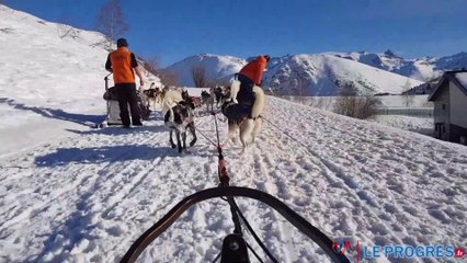 Balade en chien de traîneau à l'Alpe d'Huez