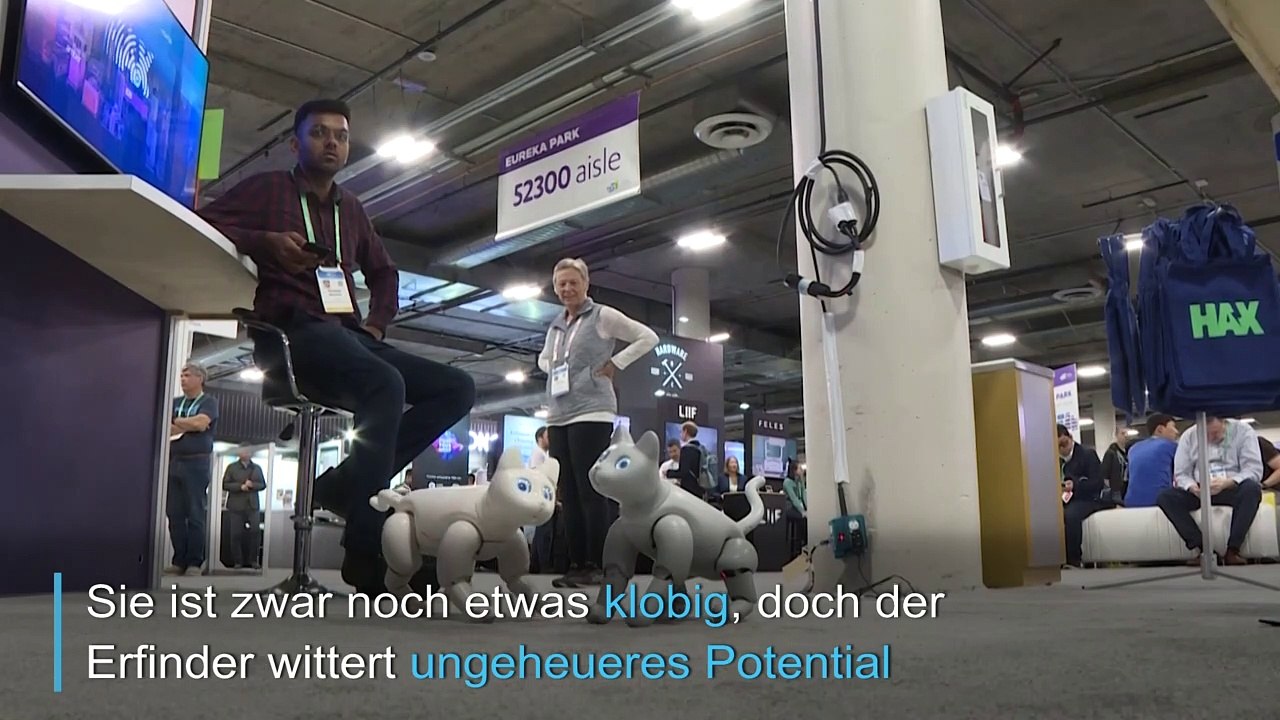 Roboter-Katzen verzücken Besucher auf der CES