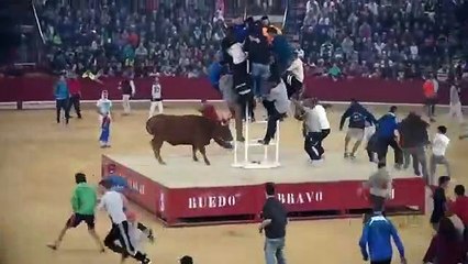 Dangerous Bull Fight Accidents Compilation video