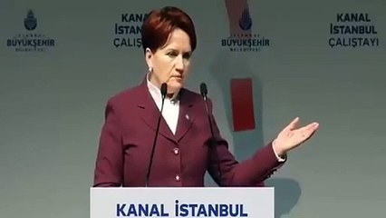 Meral Akşener yalanına Rus lider Putin'i alet etti