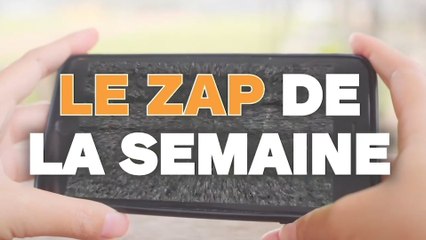 Le ZAP de la semaine #201 : des fails, nos amis les bêtes et un homme plus fort que l'acier