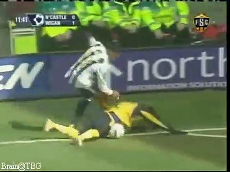 Shola Ameobi