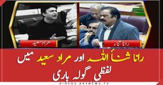 Exchange of harsh words between Rana Sanaullah and Murad Saeed