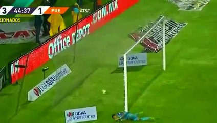Gignac'tan harika performans! 4 gol birden...