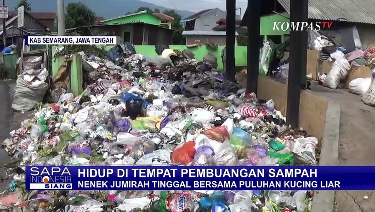 Pasca Digusur Nenek Jumirah Tinggal di TPS Bersama Kucing Liar