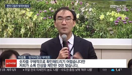 한미 다음주 방위비협상 재개…호르무즈 파병 변수될까