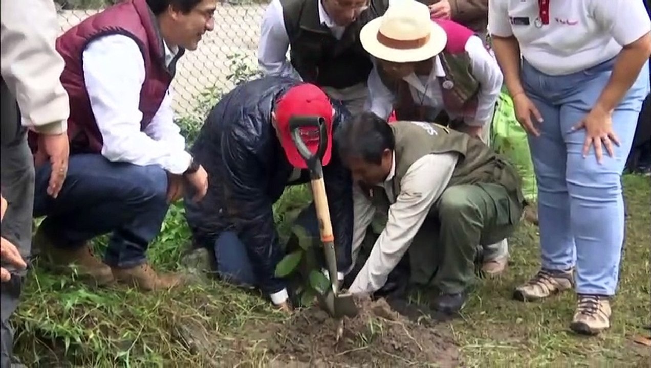 Campaña de reforestación para proteger Machu Picchu