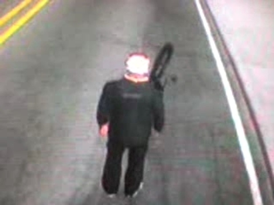 the team of stunteur 2