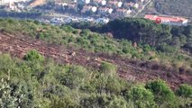 PKK terör örgütü adına yangın çıkarılan Aydos Ormanlarında mahkeme heyeti keşif yaptı