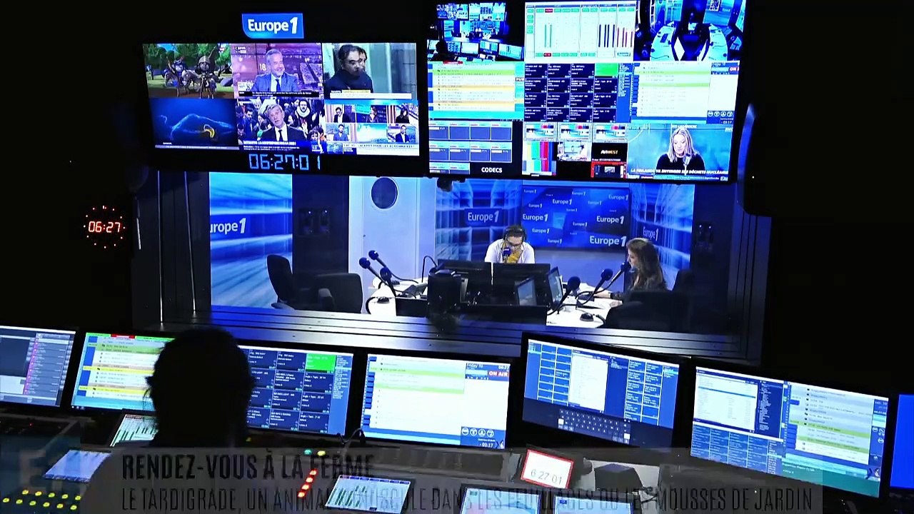 Il résiste aux rayons X, au froid extrême et à l'eau bouillante : l'ourson d'eau surprend les scientifiques