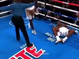 Combats de boxe et de MMA avec des FX