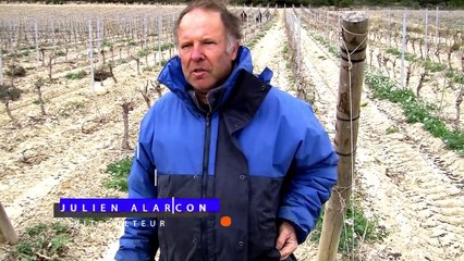 Test de vêtements contre le froid en viticulture - MSA Grand Sud