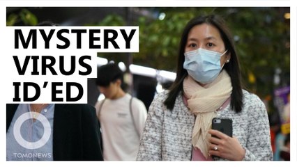 Mystery pneumonia virus identified in China