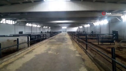 İkinci Çiftlik Bank vurgununda 5 tutuklama daha