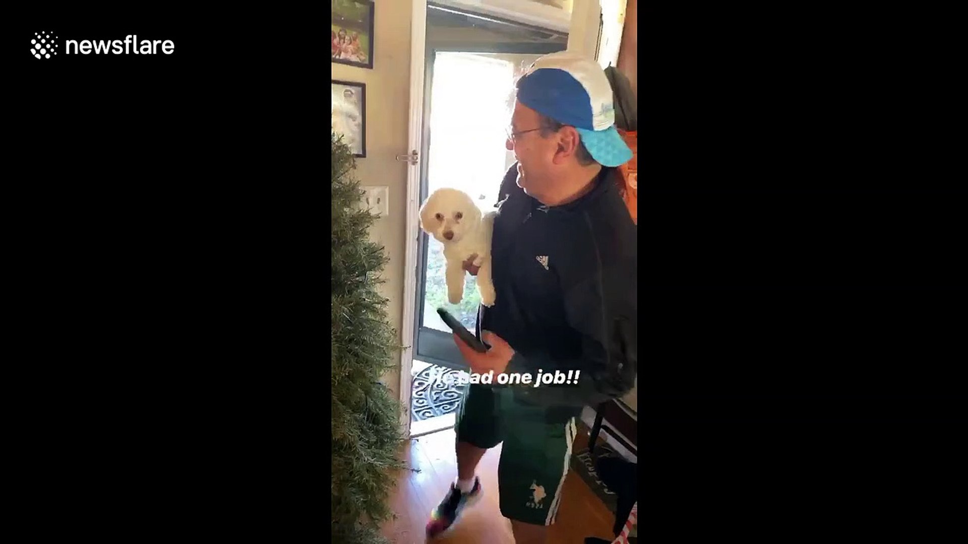 ⁣US husband returns home from groomers with the WRONG dog
