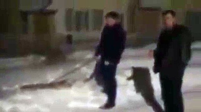 Voici comment les russes fêtent le nouvel an !