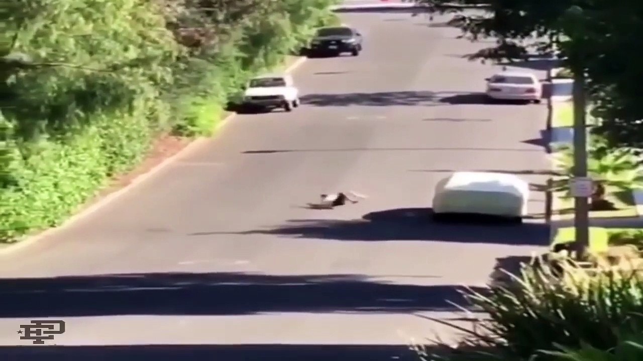 Bad Slams & Broken Bones - Skateboarding Fails 2020