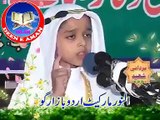 Ahle hadees ka Manhaj kya hai? buth hiPiyara Bayan Hai IS Bachy  Ka, ( islamic video)