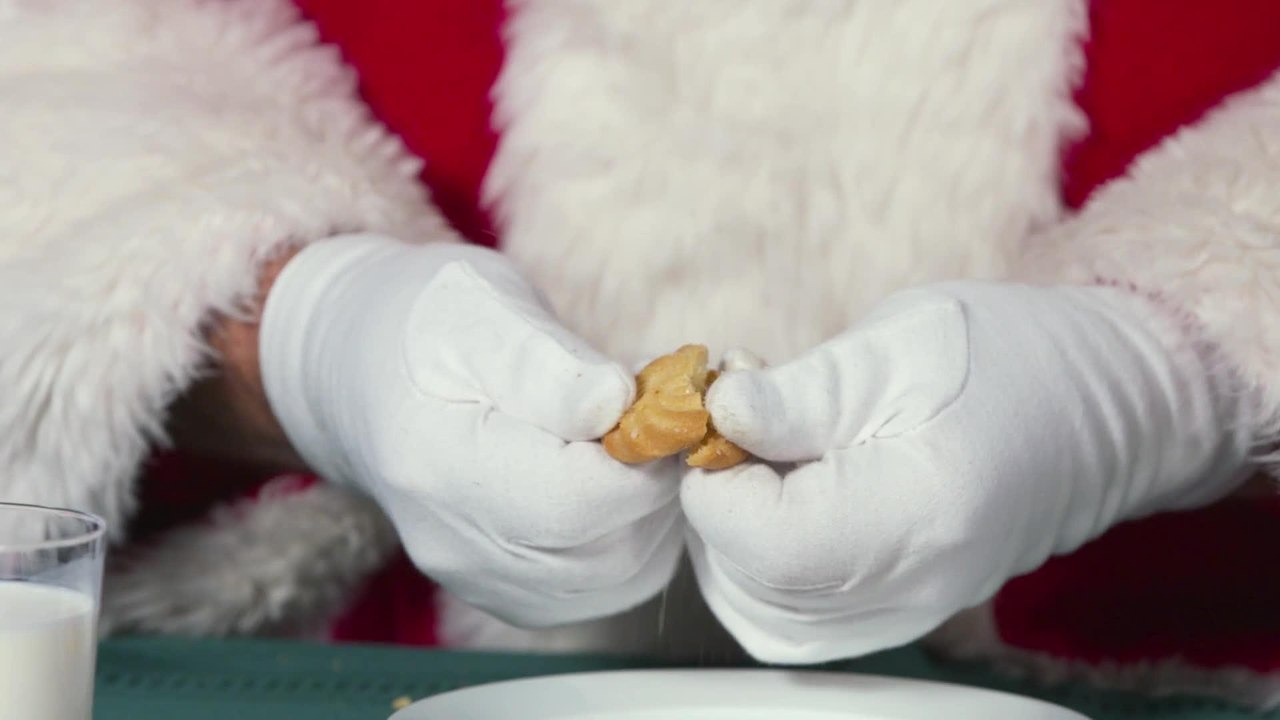 The Expert Test Christmas Cookies