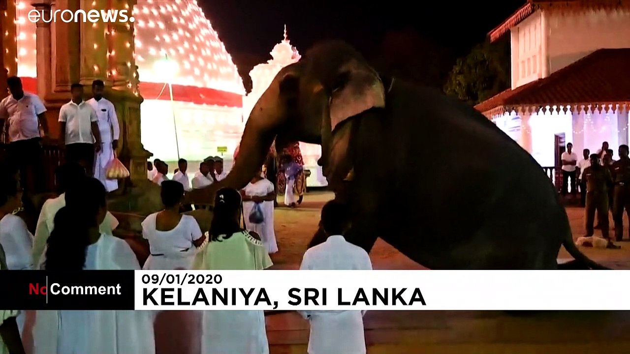 Sri Lanka: sfilata di elefanti alla celebrazione buddista