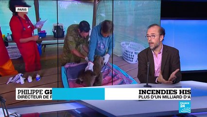 Incendies en Australie : plus d'un milliard d'animaux ont déjà péri dans les feux