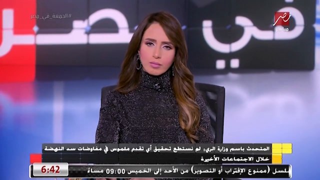 المتحدث باسم وزارة الري : لم نستطع تحقيق أي تقدم ملموس في مفاوضات سد النهضة مؤخرا