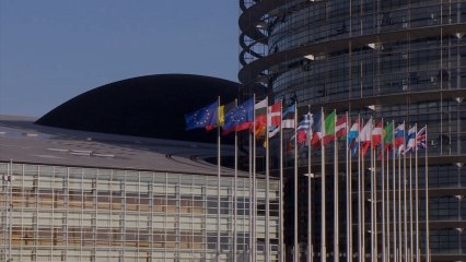 El Parlamento Europeo suspende a Junqueras como eurodiputado