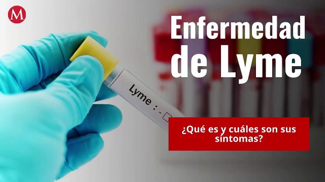 ¿Qué es la enfermedad de Lyme y cuáles son sus síntomas?