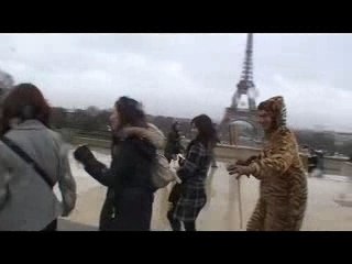 sauvons mardi gras... pour eux