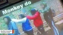 Black High School Students In New York Outraged Over Teacher's 'Monkey Do' Photo
