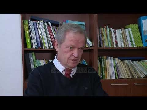 Importi konkurron prodhimin vendas/ Ekspertët: Sekreti është te subvencionet