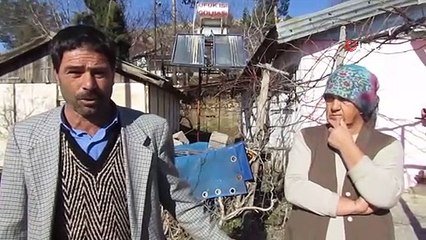 Köpek Dehşeti...8 Köpeğin Saldırdığı Genç Kızın Vücudu Parçalandı