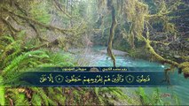 Very Beautiful Tilawat - Surah Al Mominoon - Raad Al Kurdi سورة المومنون- رعد الکردی