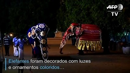 Elefantes participam de festival budista