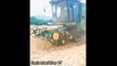 Modern Agricultural Machinery Technology Works Great, Fastest Harvest Farming Tractor Equipment