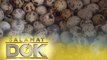 Dr. Luningning Caravana discusses the nutrient content of quail eggs | Salamat Dok