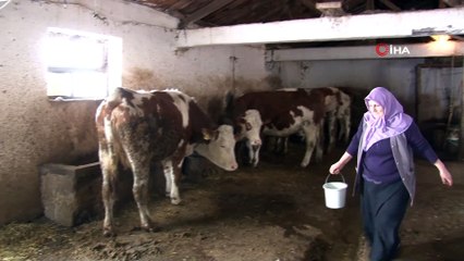 Okuma yazması olmayan 64 yaşındaki şair Latife teyze,  25 kişiye rakip oldu