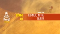Dakar 2020 - Étape 7 / Stage 7 - Cornejo in the dunes