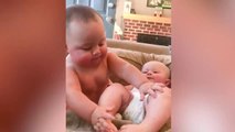 Fun and Fails Baby Siblings Playing Together  funny videos