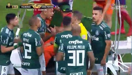 Palmeiras - Cerro Porteno