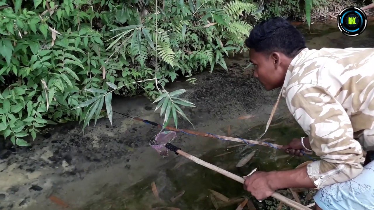 Electric Fishing in The River
