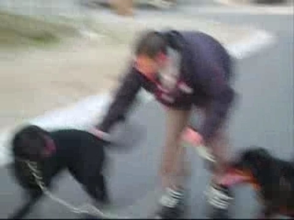 SansTitreK