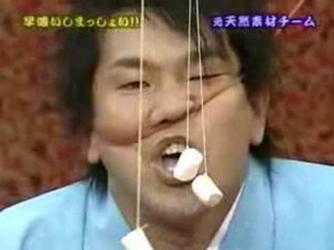 Les Chamallows aux élastiques