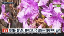 숨막히는 주말…전국 내일까지 공기질 나쁨