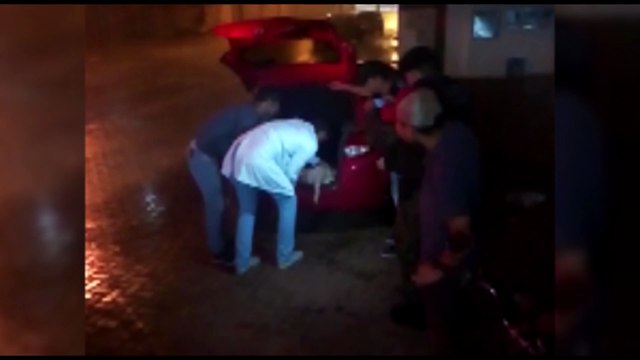 Cachorrinho atropelado por veículo no Trevo Cataratas é encaminhado à clínica veterinária particular pelo próprio motorista