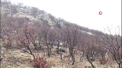 Mardin’de “KAPAN-1 BAGOK” Operasyonu başladı