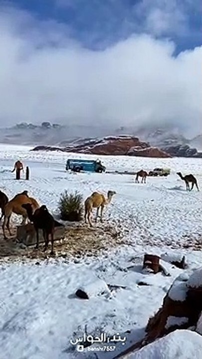 Snow fall 1st time in Saudi Arabia
