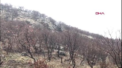 Mardin'de 'kapan-1 bagok' operasyonu başlatıldı