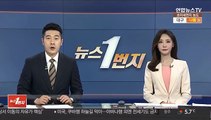 우크라이나 여객기 격추한 러 '토르' 미사일은?