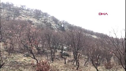 Mardin'de 'kapan-1 bagok' operasyonu başlatıldı-ekiyle